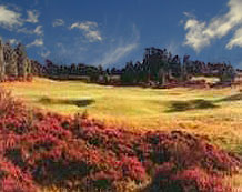 View over Boat of Garten Golf Course